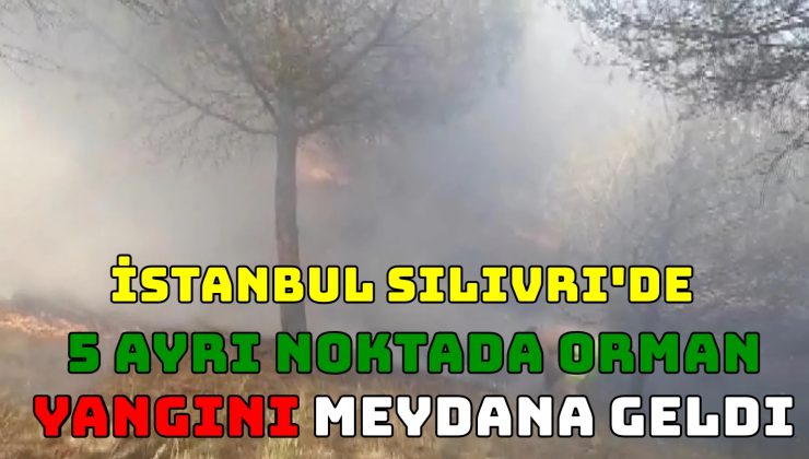 İstanbul Silivri’de 5 ayrı noktada orman yangını meydana geldi.
