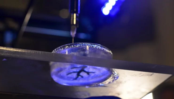 Türkiye’de ilk kez 3D yazıcı ile insan organı üretildi